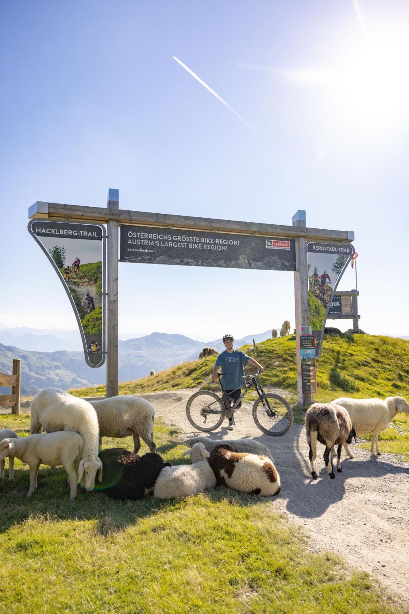 Apartments Landhaus Saalbach エクステリア 写真